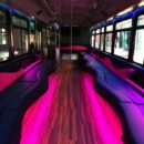 img 3647 - THE BARBIE PARTY BUS - Party Express Bus Rentals in Tulsa, OK - Party Express Bus